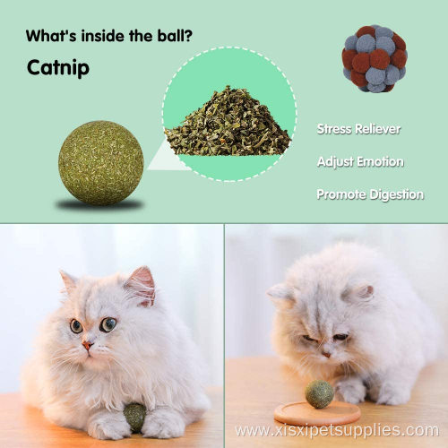 Cat Toy Set Feather Teaser Wand Mouse toy